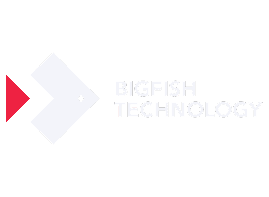 Bigfish Technology logo with fish icon and company name for branding.